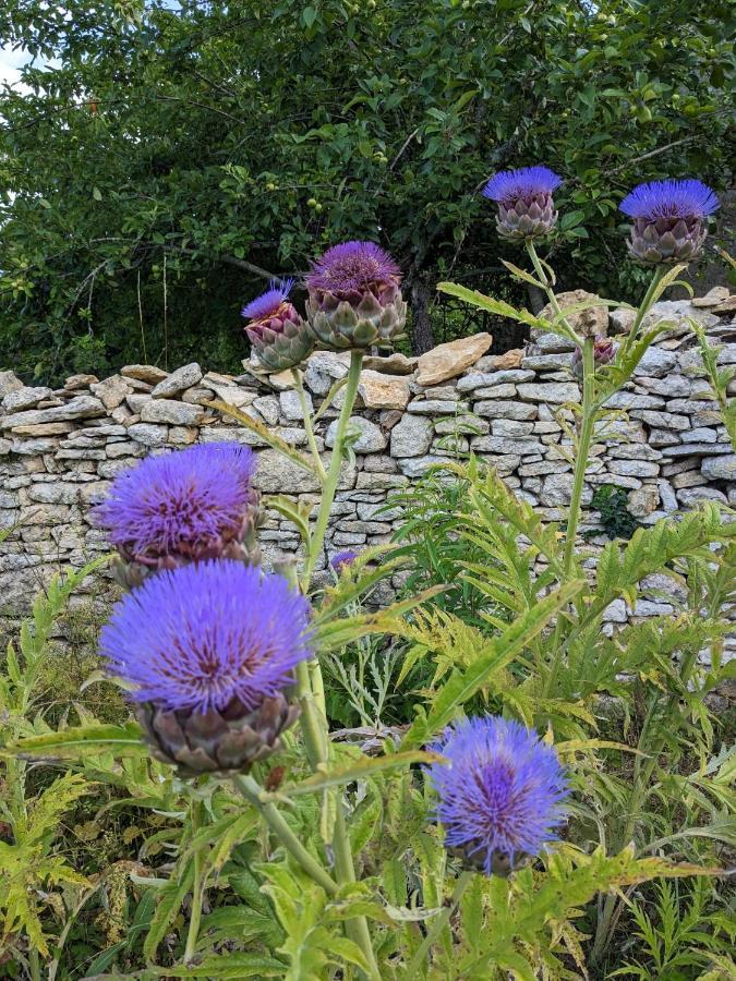La Grange Symphorine, Chambre D'Hotes De Charme Situee Entre La Vallee De La Dordogne Et La Vallee De La Vezere Meyrals Екстериор снимка