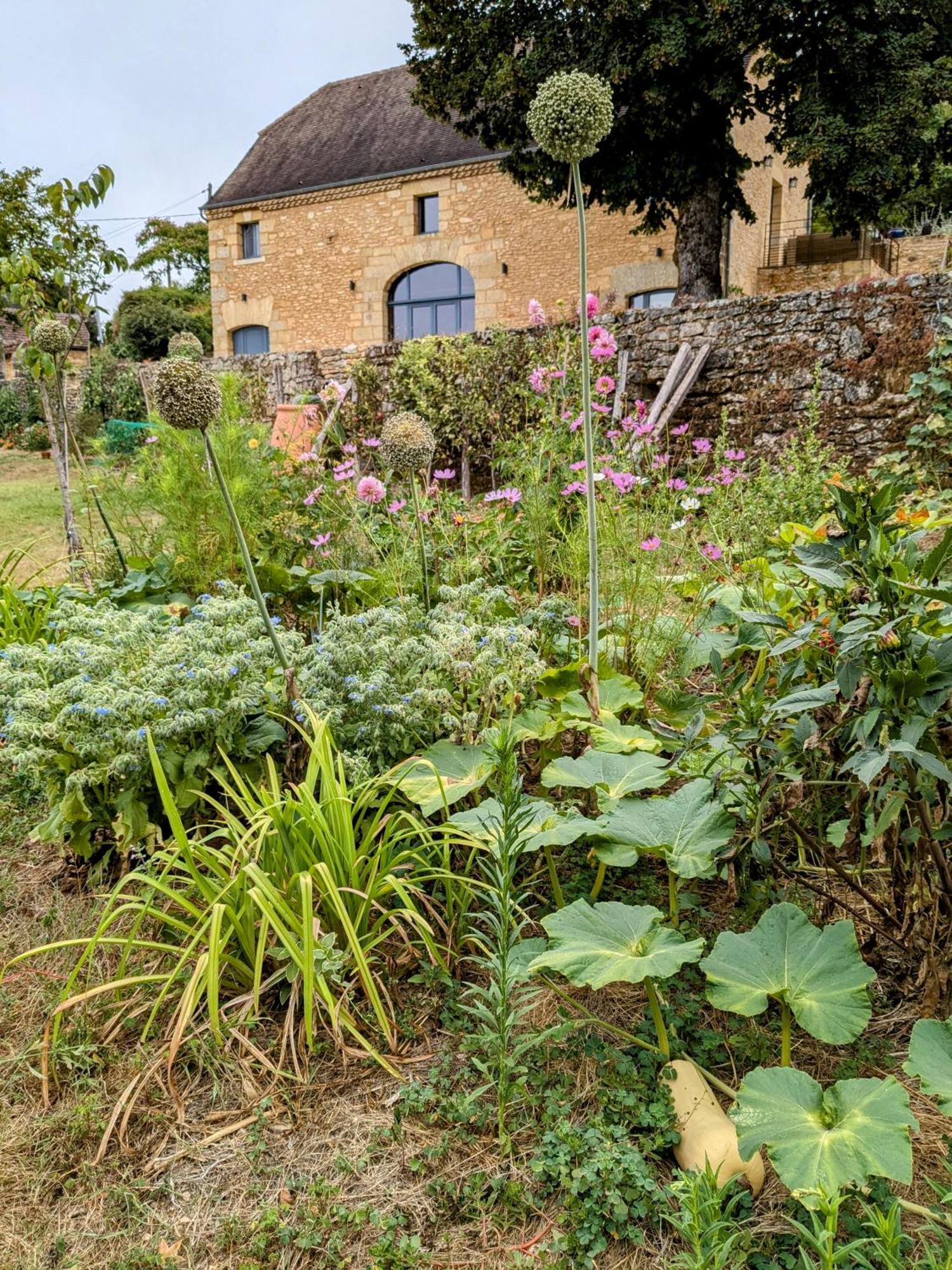 La Grange Symphorine, Chambre D'Hotes De Charme Situee Entre La Vallee De La Dordogne Et La Vallee De La Vezere Meyrals Екстериор снимка